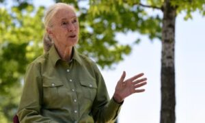 Jane Goodall telling a story